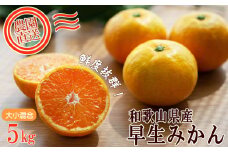 早生みかん 約5kg 大小混合 《ご家庭用》 和歌山県産 農園直送 まごころ産直みかん 【北海道・沖縄県・一部離島 配送不可】ちょっと訳あり ミカン 蜜柑 温州みかん わけあり 訳アリ ［Mg14］