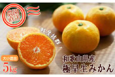極早生みかん 約5kg 大小混合 《ご家庭用》 ちょっと訳あり 和歌山県産 農園直送 まごころ産直みかん 【北海道・沖縄県・一部離島 配送不可】下津の極早生みかん 和歌山の極早生みかん ミカン みかん Mikan 蜜柑 温州みかん わけあり 訳アリ ［Mg18］