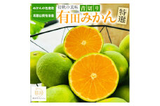 特選 青切り有田みかん 約2kg ［2025年9月中旬より発送］［MS20］