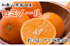 ［濃厚オレンジ］和歌山有田産セミノール約3kg(サイズ混合 秀品)★2026年4月中旬頃より順次発送［TM212］