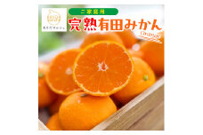 ［先行予約］ご家庭用 完熟有田みかん 約5kg［2025年12月発送予定］訳あり 農家直送［MS31-2］