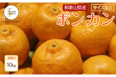 訳あり 森本農園の手選別 ポンカン 約10kg 和歌山県産 サイズ混合 ［北海道・沖縄・離島配送不可］［RN45］［2026年1月上旬から順次発送］