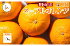 訳あり 森本農園の手選別 ネーブルオレンジ 約10kg 和歌山県産 サイズ混合 ［北海道・沖縄・離島配送不可］［RN47］［2026年1月上旬から順次発送］