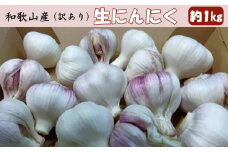 和歌山県産 生にんにく 約1kg ご家庭用  ★2026年５月発送［TM202］
