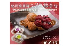 ご家庭用 大容量 紀州南高梅 つぶれ梅 うす塩としそ漬の詰合せ ［YM17］