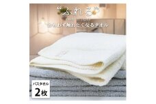 【バスタオル2枚組】思わずふれたくなる バスタオル 60×120cm ふれるB2-ST