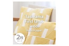 【2枚組】洗えるタスマニアラムウール混クッションカバー 45×45cm OTW-4545-YE-2P