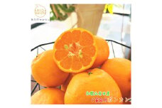 有田育ちの 完熟 ポンカン（ご家庭用）約2kg［先行予約］［MS118］