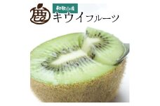 ［先行予約］厳選 キウイ1kg+250g（傷み補償分） 扁平果 ［IKE106］