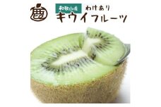 ［先行予約］家庭用 キウイ5kg+250g（傷み補償分） わけあり・訳あり・扁平果 ［IKE104］