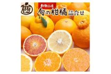 ［先行予約］厳選 柑橘詰合せ10kg+250g（傷み補償分）［有田の春みかん詰め合わせ・フルーツ詰め合せ・オレンジつめあわせ］［光センサー選別］［IKE260］