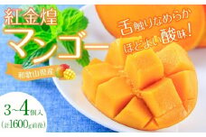 紅金煌 マンゴー 3~4個 入り 合計 1600g前後