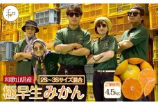 家庭用 森本農園の手選別 極早生小粒みかん 約4.5kg 和歌山県産 2S・3Sサイズ混合 ［北海道・沖縄・離島配送不可］［2025年10月上旬から順次発送］［RN51］