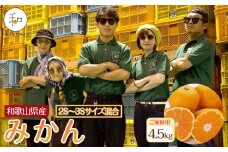 家庭用 森本農園の手選別 小粒みかん 約4.5kg 和歌山県産 2S・3Sサイズ混合 ［北海道・沖縄・離島配送不可］［2025年11月上旬から順次発送］［RN60］