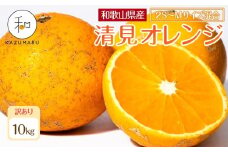 訳あり 森本農園の手選別 小粒清見オレンジ 約10kg 和歌山県産 2S～Mサイズ混合 ［北海道・沖縄・離島配送不可］［2026年2月上旬から5月中旬頃順次発送予定］［RN99］