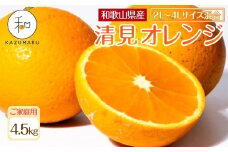 家庭用 森本農園の手選別 大玉清見オレンジ 約4.5kg 和歌山県産 2L~4Lサイズ混合 ［北海道・沖縄・離島配送不可］［2026年2月上旬から5月中旬頃順次発送予定］［RN100］