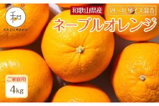 家庭用 森本農園の手選別 大玉ネーブルオレンジ 約4kg 和歌山県産 2L~4Lサイズ混合 ［北海道・沖縄・離島配送不可］［2026年1月上旬から順次発送］［RN105］