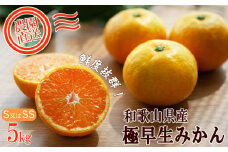 極早生みかん 約5kg 小粒SS・Sサイズおまかせ 《赤秀》 和歌山県産 農園直送 まごころ産直みかん 【10月中旬より発送開始】【北海道・沖縄県・一部離島 配送不可】SSサイズ 2S 小玉 贈答 ［Mg16］
