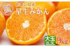 早生みかん 約9kg 大玉 2L・3Lサイズおまかせ 《ご家庭用》 和歌山県産 農園直送 まごころ産直みかん 【北海道・沖縄県・一部離島 配送不可】大きい 蜜柑 温州みかん ちょっと訳あり わけあり 訳アリ ［Mg51］