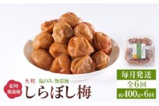 梅干し しらぼし梅 約400g 塩のみ 無添加 大粒 紀州南高梅 塩分約15％ 和歌山県産 [ 定期便 毎月発送・全6回 ]