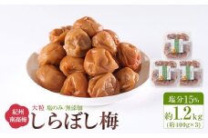 梅干し しらぼし梅 約1.2kg（約400g×3）塩のみ 無添加 大粒 紀州南高梅 塩分約15％ 和歌山県産