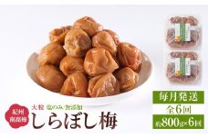 梅干し しらぼし梅  約800g（約400g×2） 塩のみ 無添加 大粒 紀州南高梅 塩分約15％ 和歌山県産 [ 定期便 毎月発送・全6回 ]