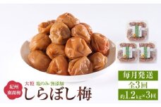 梅干し しらぼし梅 約1.2kg（約400g×3）塩のみ 無添加 大粒 紀州南高梅 塩分約15％ 和歌山県産 [ 定期便 毎月発送・全3回 ]