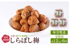 梅干し しらぼし梅 約1.2kg（約400g×3）塩のみ 無添加 大粒 紀州南高梅 塩分約15％ 和歌山県産 [ 定期便 毎月発送・全6回 ]