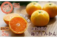 小玉みかん 約5kg 2S3S混合サイズ 訳あり 和歌山県産 農園直送 まごころ産直みかん 【10月～11月頃発送】【北海道・沖縄県・一部離島 配送不可】下津 極早生みかん［Mg38］