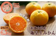 小粒みかん 約6.5kg 2S3S混合サイズ 訳あり 和歌山県産 農園直送 まごころ産直みかん 【10月～11月頃発送】 【北海道・沖縄県・一部離島 配送不可】下津 極早生みかん［Mg40］