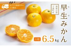 早生みかん 小粒みかん 6.5kg S・SSサイズ 秀品 【11月～1月発送】 まごころ産直みかんより農園直送 【北海道・沖縄県・一部離島 配送不可】 Sサイズ 2Sサイズ 小玉 小粒 小さい こつぶ こだま ミカン 蜜柑 mikan 早生みかん［Mg41］