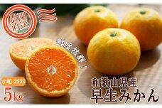 早生みかん 約5kg 小粒2S・3S混合 《ご家庭用》 和歌山県産 農園直送 まごころ産直みかん 【北海道・沖縄県・一部離島 配送不可】　ちょっと 訳あり 希少 小粒みかん SSサイズ 小玉 わけあり 訳アリ ［Mg46］