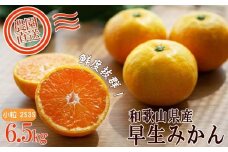 早生みかん 約6.5kg 小粒2S・3S混合 《ご家庭用》 和歌山県産 農園直送 まごころ産直みかん 【北海道・沖縄県・一部離島 配送不可】 ちょっと訳あり 希少 小粒みかん SSサイズ 小玉 わけあり 訳アリ ［Mg55］