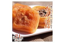柳フルーツ園の「紀州手作り　あんぽ柿」24個入り_ 柿 あんぽ柿 果物 フルーツ くだもの ふるーつ 青果 国産 和歌山 かき 人気 送料無料 産地直送 甘い 手作り デザート 産直 秋の味覚 旬 カキ 冷蔵 【1077179】