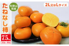 ＜令和7年度　先行受付＞柿カテゴリ上位獲得!　JA紀北かわかみのたねなし柿　7.5kg　L又は2L【1237822】