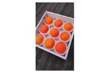 国城観光農園の富有柿9個入り(2Lサイズ)【1087791】