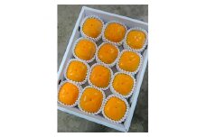 国城観光農園のたねなし柿12個入り(2Lサイズ)【1110573】