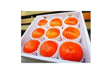 国城観光農園の富有柿9個入り(3Lサイズ)【1110576】