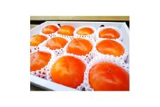国城観光農園の富有柿12個入(2Lサイズ)【1138922】