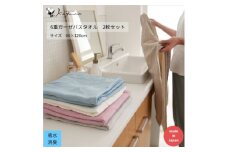 6重ガーゼバスタオル同色2枚セット (ライトブルー)【1238135】