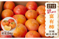 国城観光農園の富有柿(家庭用・訳あり)約7.5kg【1281482】