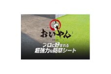 ガーデニングや庭の景観改善に使用　雑草を防ぎ草抜き作業を軽減　枯草が混じる冬の人工芝防草シート【1307891】