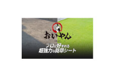 ガーデニングや庭の景観改善に使用　雑草を防ぎ草抜き作業を軽減　青々とした夏の人工芝防草シート【1314927】