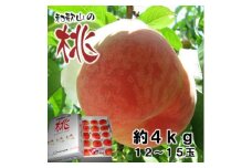 ＜2024年7月順次発送 先行受付＞桃(白鳳) 12玉～15玉入り　約4kg【1378428】