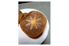 紀の川柿(訳あり品)12～15個入り【1393921】