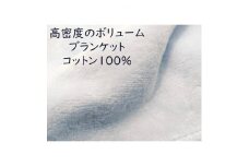 綿100%綿毛布 厚手タイプ ブルー【1371957】