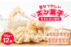 昔なつかしい　ポン菓子(100g×12袋)【1143588】