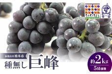 種無巨峰　約2kg(5房前後)＜2025年8月6日以降発送＞【1146341】