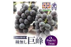 ＜2026年夏発送＞種無し巨峰　約2kg(5房前後)　来季分先行受付【1146341】