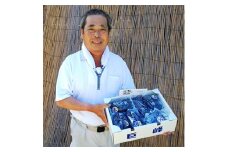 ＜2024年8月6日以降発送予定＞巨峰の種有り・種無し　食べ比べセット　約2kg以上(5房前後)【1146340】